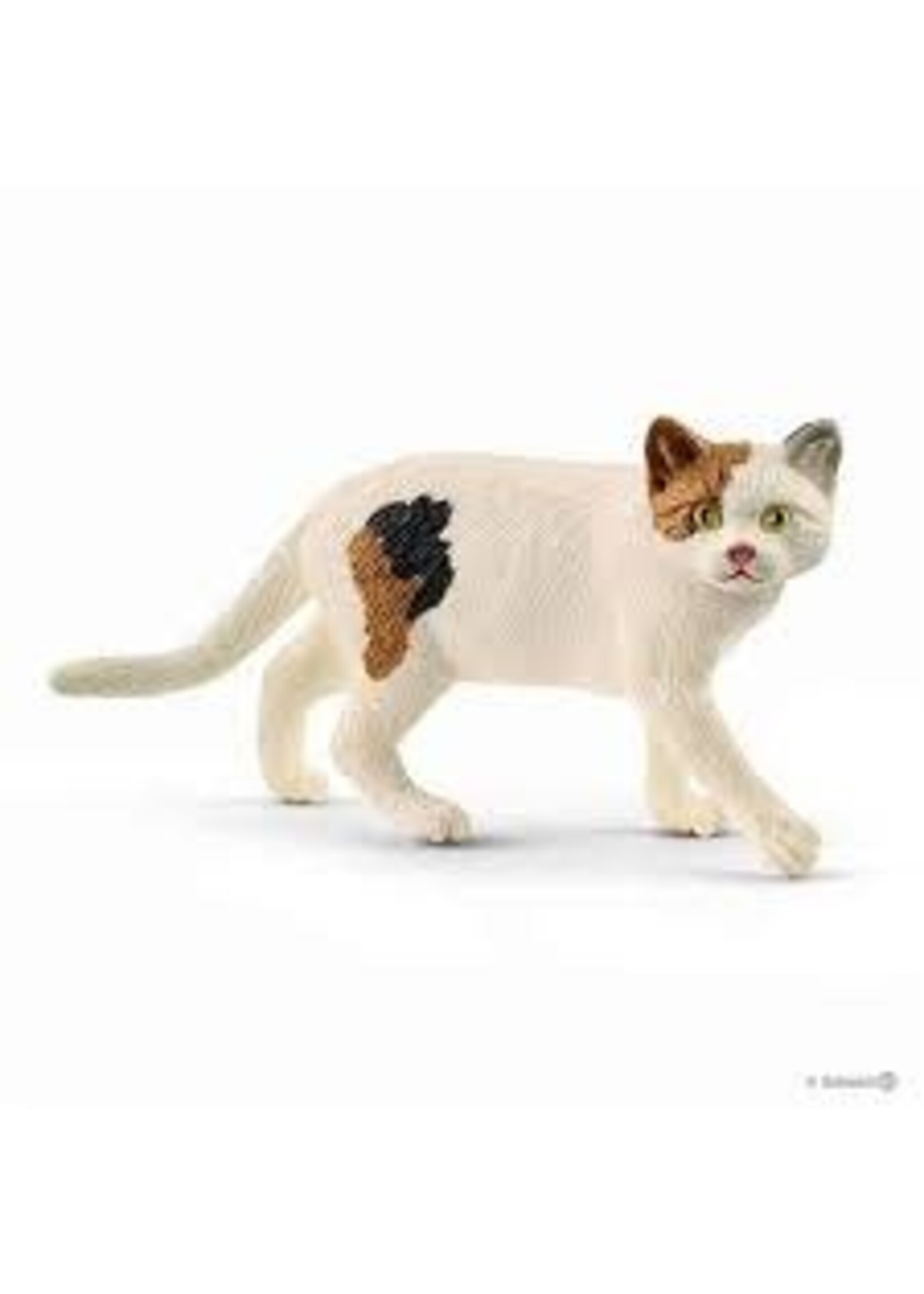 Schleich Schleich Amerikaanse korthaar (13894)