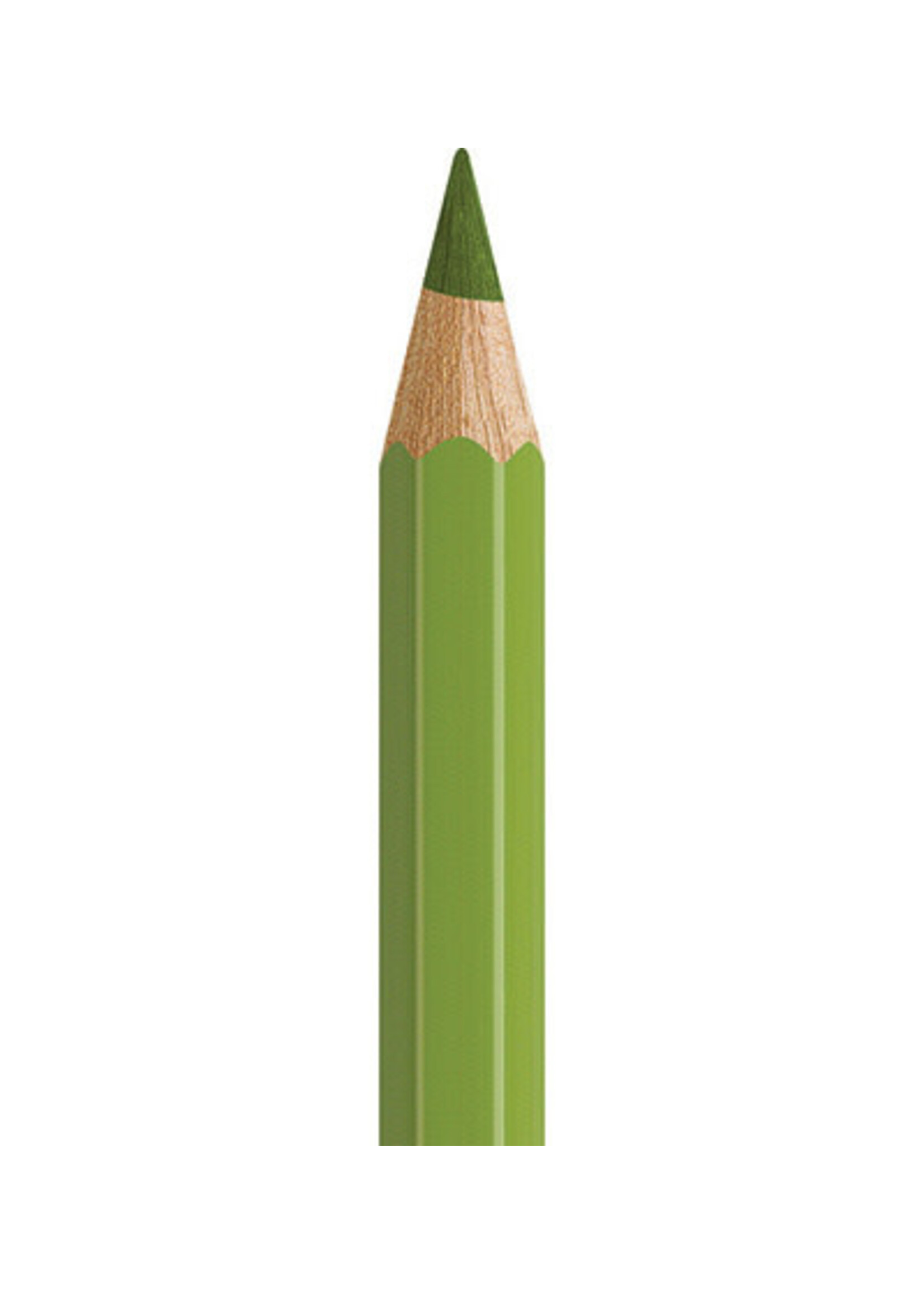 Faber-Castell Faber-Castell Aquarelpotlood - Aardegroen / Geel (168)