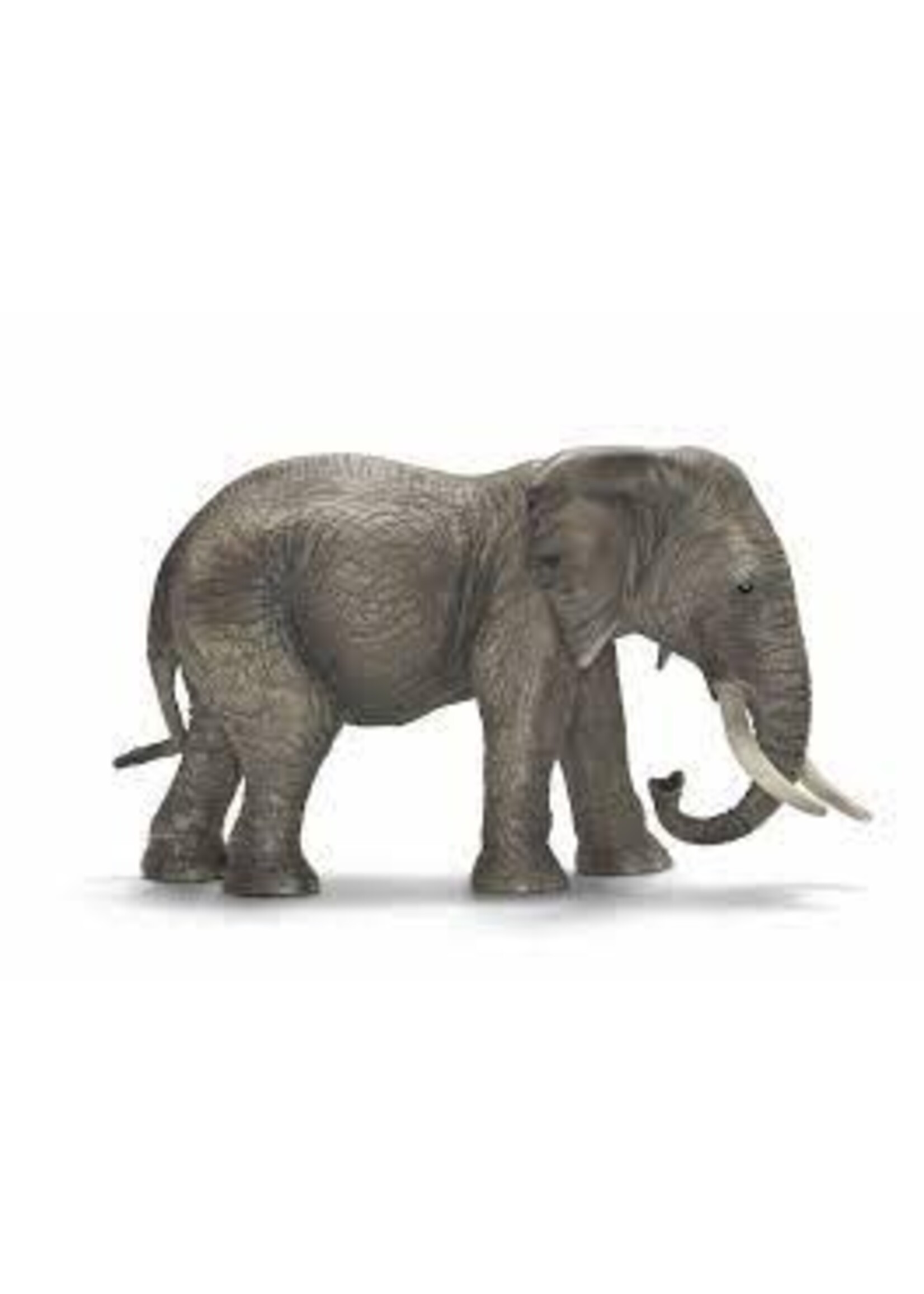 Schleich Schleich Afrikaanse olifant vrouwelijk (14761)