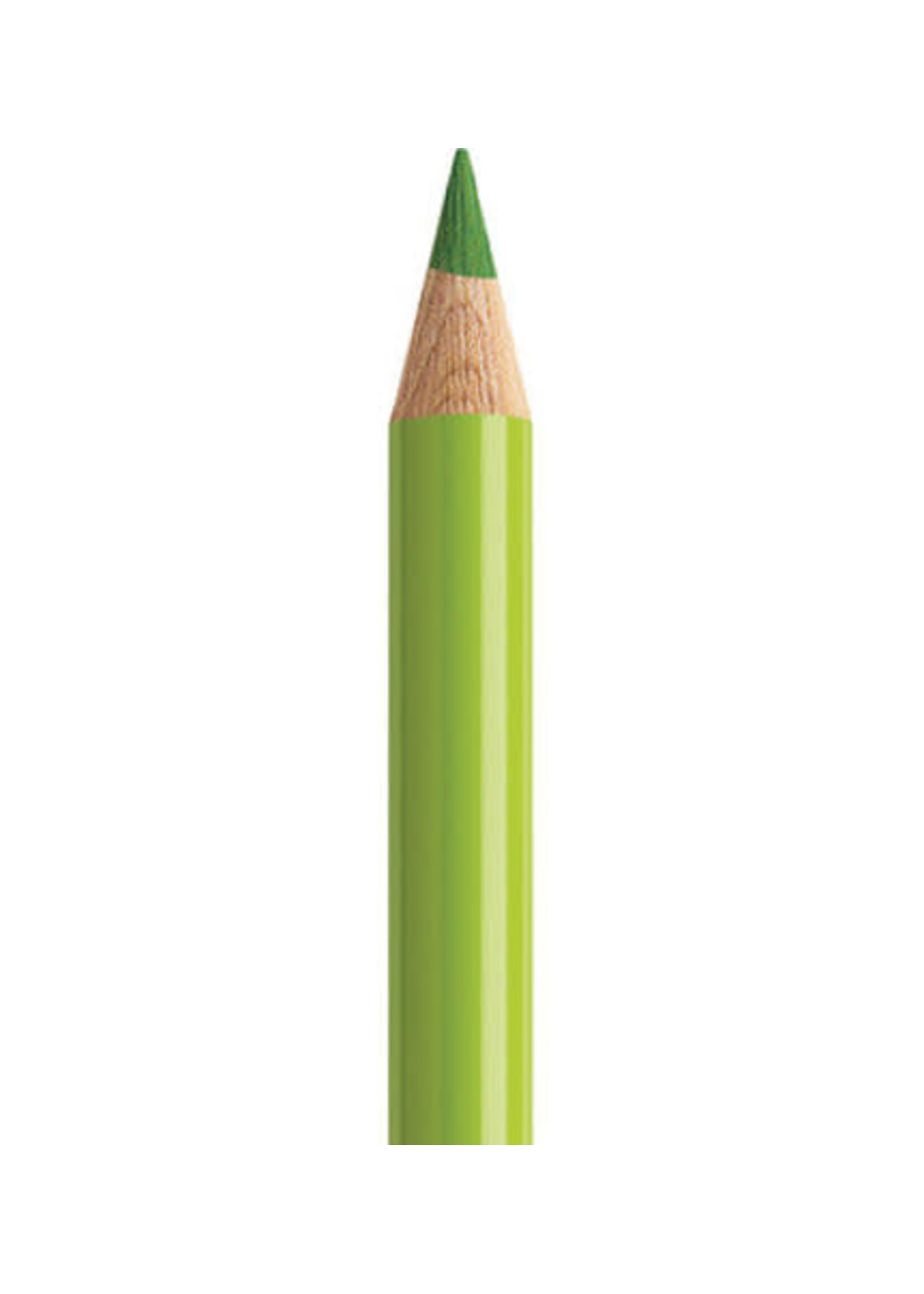 Faber-Castell Faber-Castell Polychromos potlood - Meigroen (170)