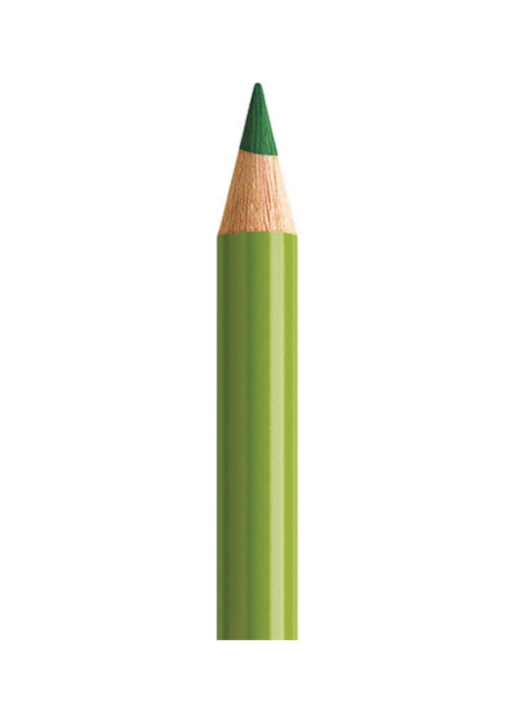 Faber-Castell Faber-Castell Polychromos potlood - Aardegroen / geel (168)
