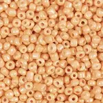 CChobby Creativ Company Rocailles -  25 gram Perzik Oranje (3 mm)