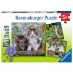 Ravensburger Ravensburger puzzel Jonge katjes (3x 49 stukjes)