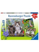 Ravensburger Ravensburger puzzel Jonge katjes (3x 49 stukjes)
