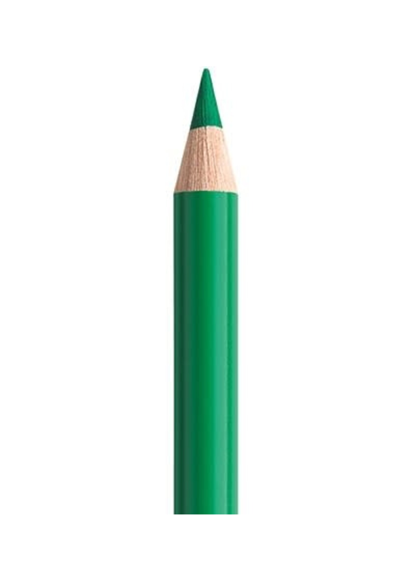 Faber-Castell Faber-Castell Polychromos potlood - Smaragdgroen (163)