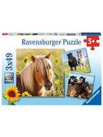 Ravensburger Ravensburger puzzel Schattige pony's (3x 49 stukjes)