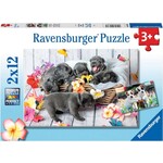 Ravensburger Ravensburger Puzzel  Schattige Haarbolletjes (2x12 stukjes)