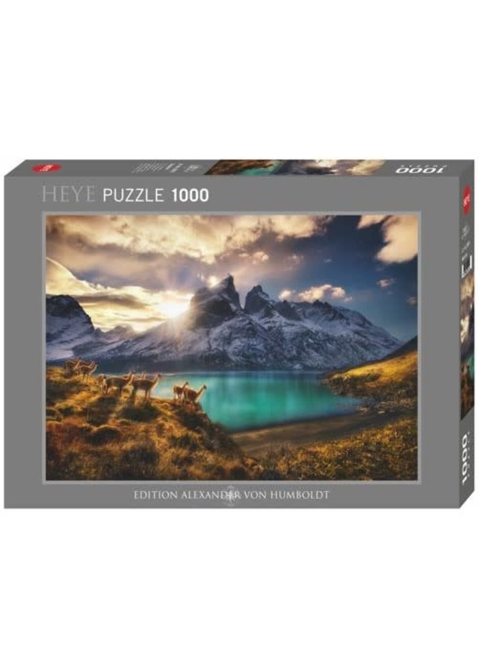 Heye Heye puzzel Guanacos (1000 stukjes)
