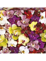 Educa Educa puzzel Orchideeën collage (1000 stukjes)