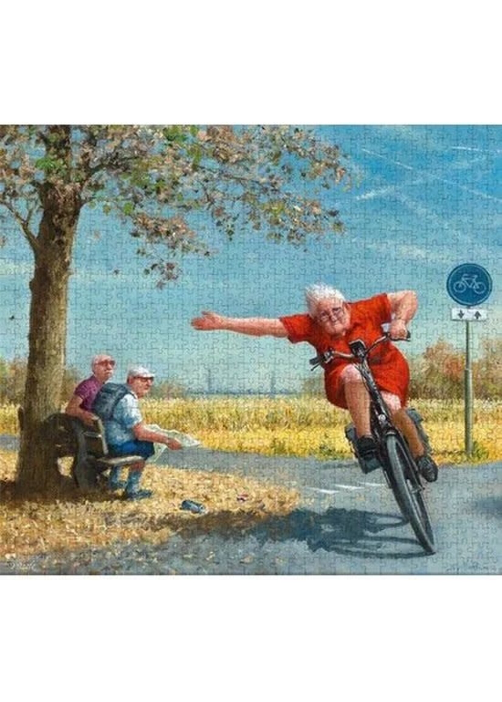 Art Revisited Art puzzel Marius van Dokkum - Turbo (1000 stukjes)
