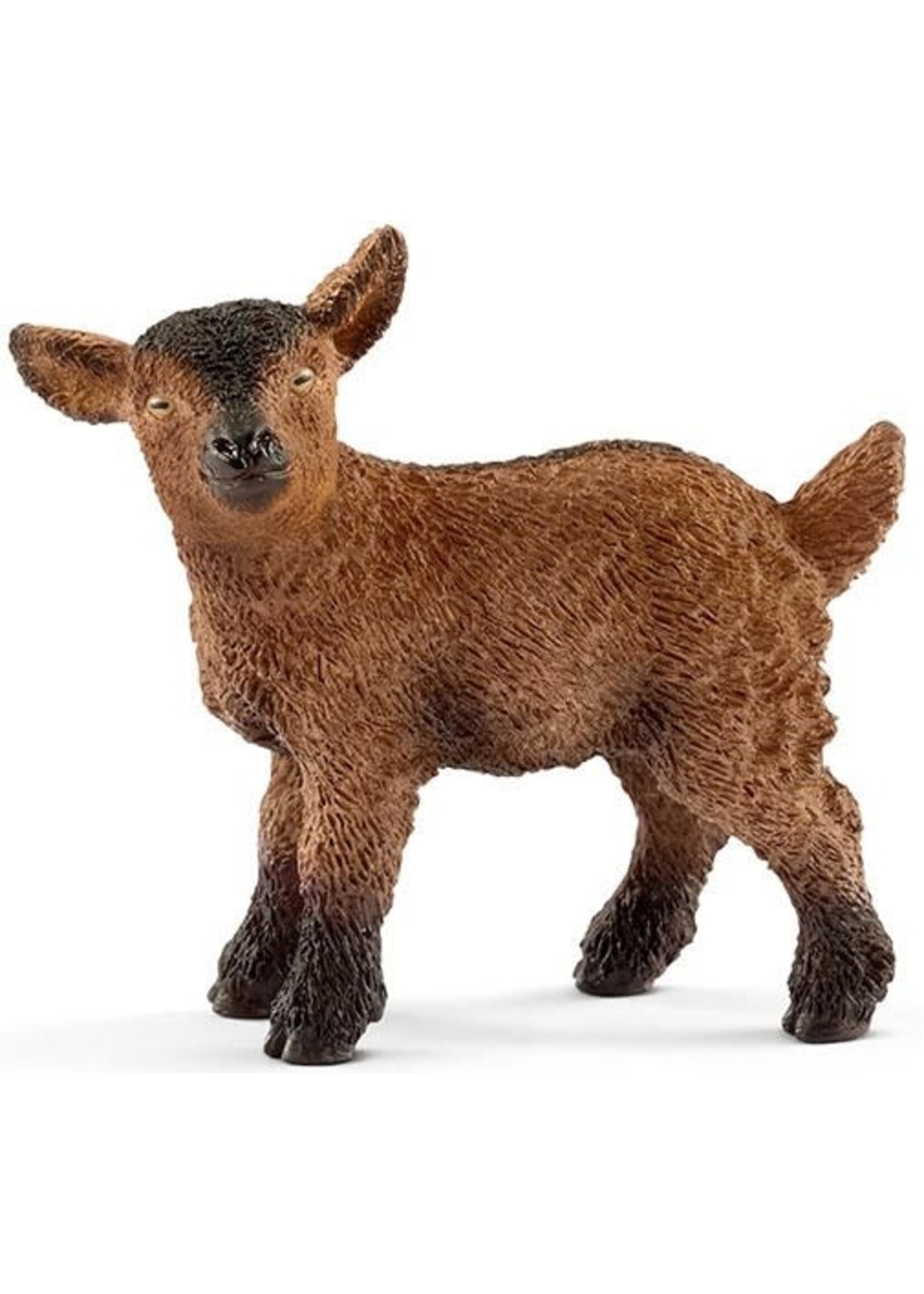 Schleich Schleich Geitenjong (13829)