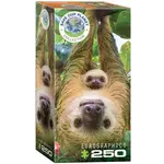 Eurographics Eurographics puzzel Sloths (250 stukjes)