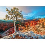 Eurographics Eurographics puzzel Winter Sunrise (1000 stukjes)