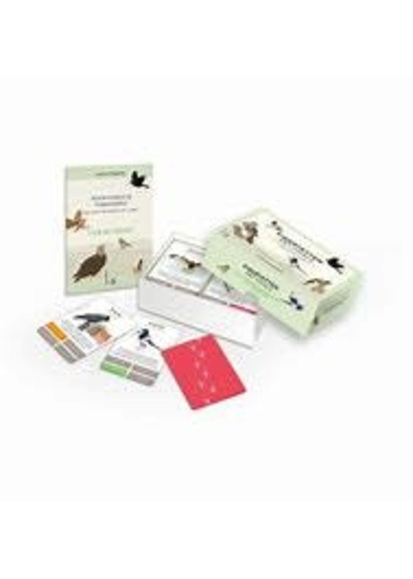 Luitingh Sijthoff Kwartetten met Vogels