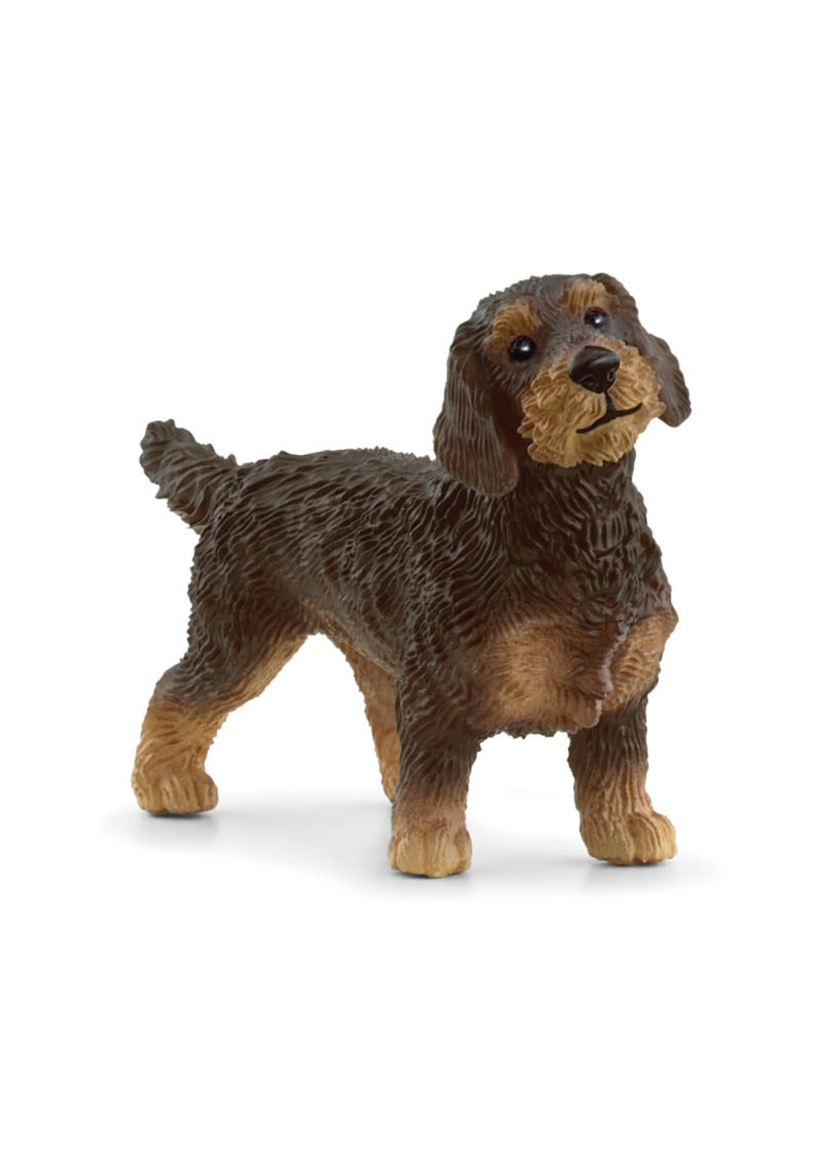 Schleich Schleich Teckel (13972)
