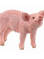 Schleich Schleich Abessijnse kat (13964)