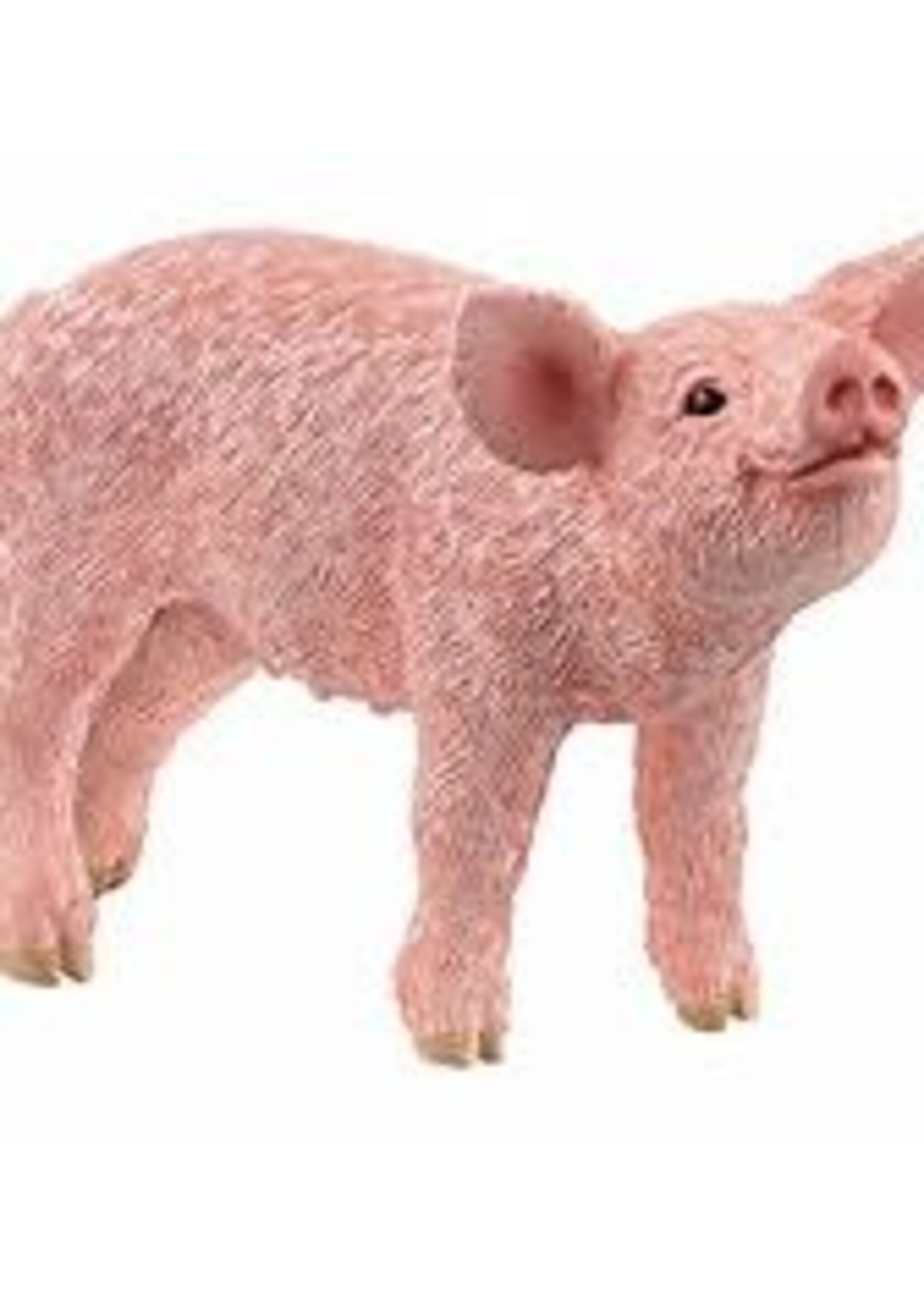 Schleich Schleich Abessijnse kat (13964)