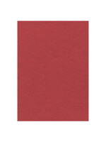 find it A4 Rood Fotokarton 270 Gr. 10 Vel