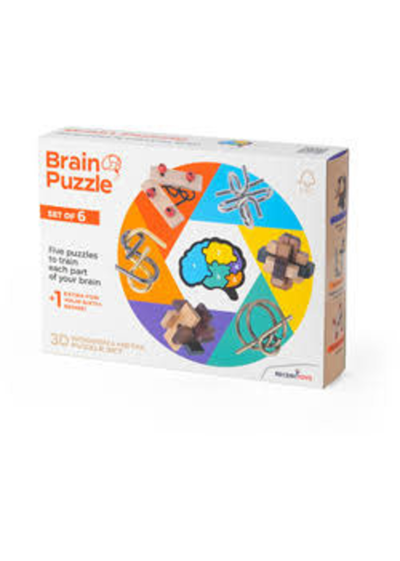 Recent Toys Breinbreker Puzzelset Hout&Metaal 6 stuks