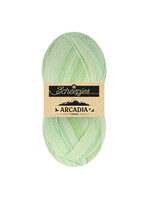 Scheepjes Scheepjes Arcadia Tones 100gr - 702 Bamboo