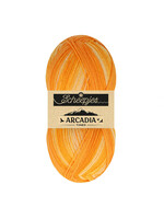 Scheepjes Scheepjes Arcadia Tones 100gr - 705 Outback