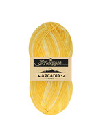 Scheepjes Scheepjes Arcadia Tones 1x100gr - 703 Sahara