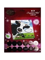 Crystal Art crystal card kit koe