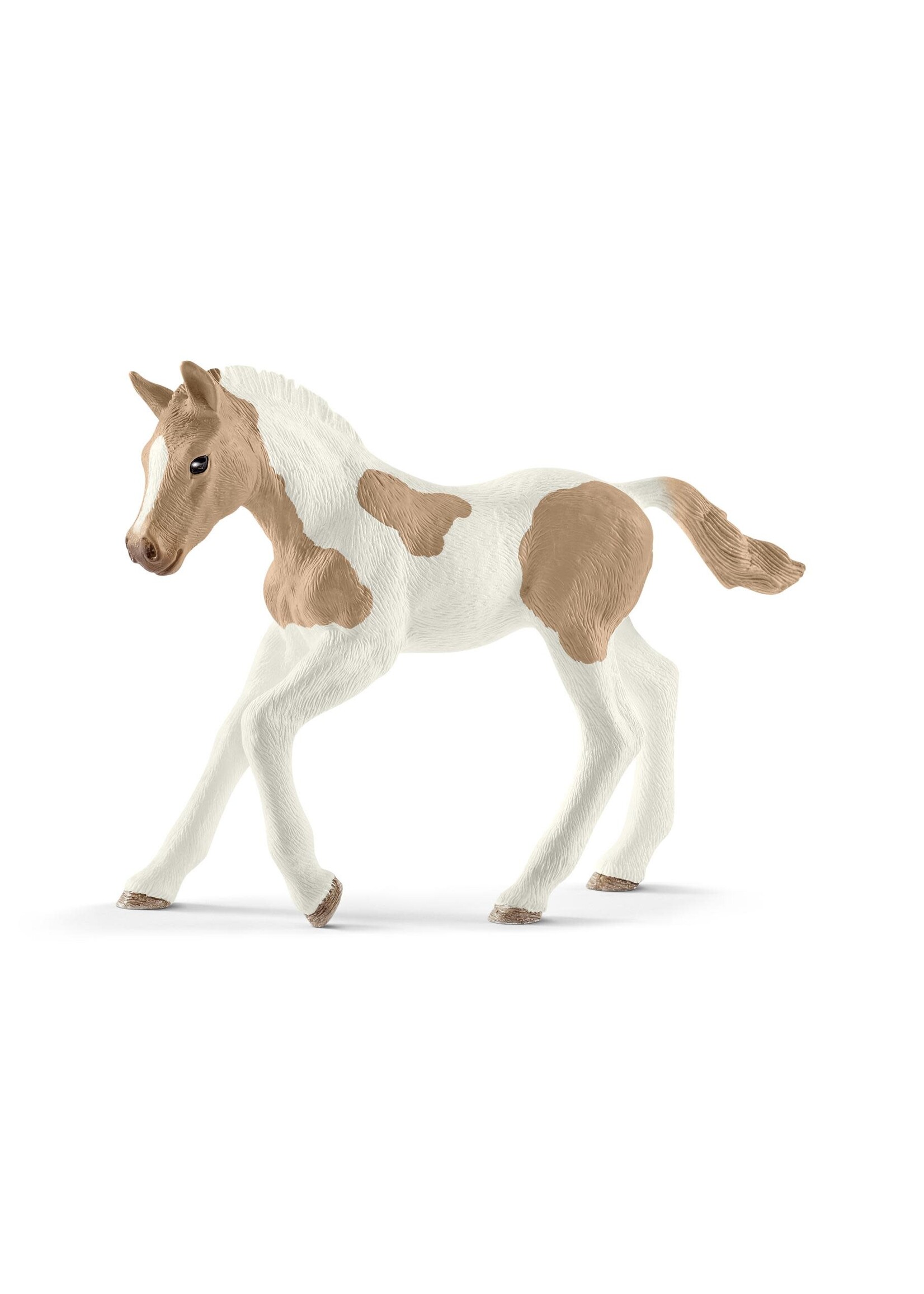 Schleich Schleich Paint Horse Veulen (13886)