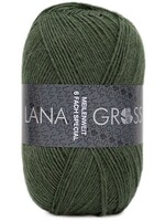 Lana Grossa Lana Grossa Meilenweit 150gr 6 draads 9221 Groen