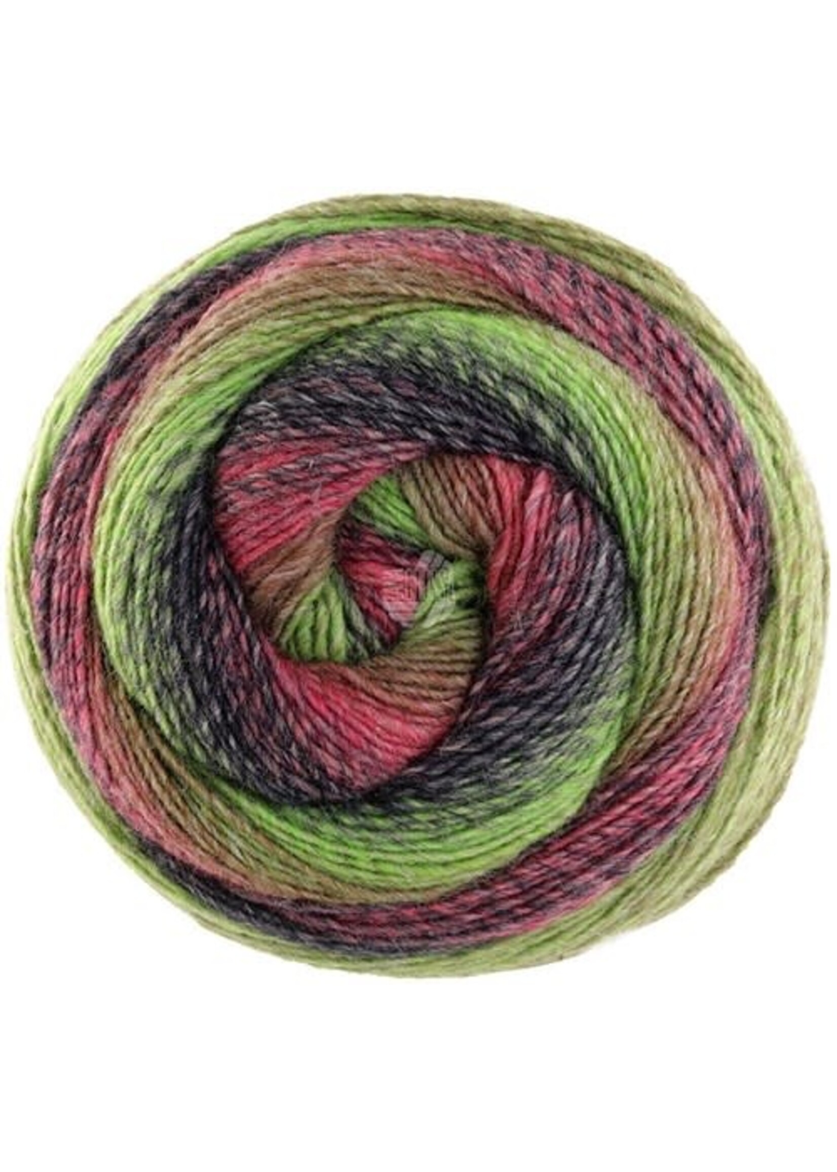 Lana Grossa Lana Grossa Gomitolo Versione 449 Fuchsia/Bordeaux/Donker Olijf/Meigroen/Antraciet/Bessen