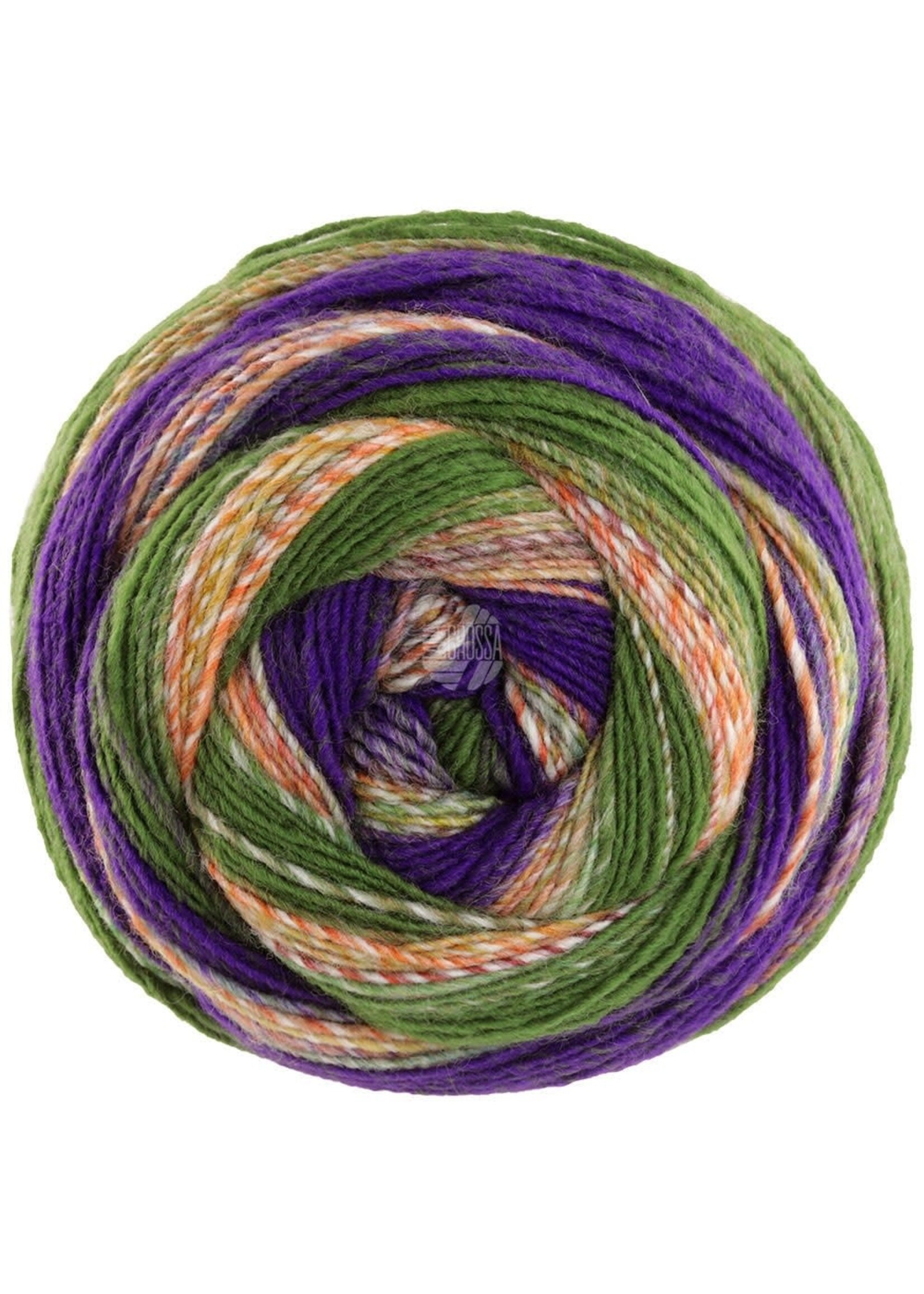 Lana Grossa Lana Grossa Gomitolo Fusione - 2027 - Bruin/oranje/lichtgroen/licht/donkerolijf/groen/donkerpaar