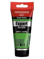 Talens Amsterdam Amsterdam Expert Series Acrylverf Tube 75 ml Permanentgroen Licht 618
