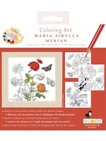 Fridolin Fridolin - Colouring Art - Maria Sibylla Merian