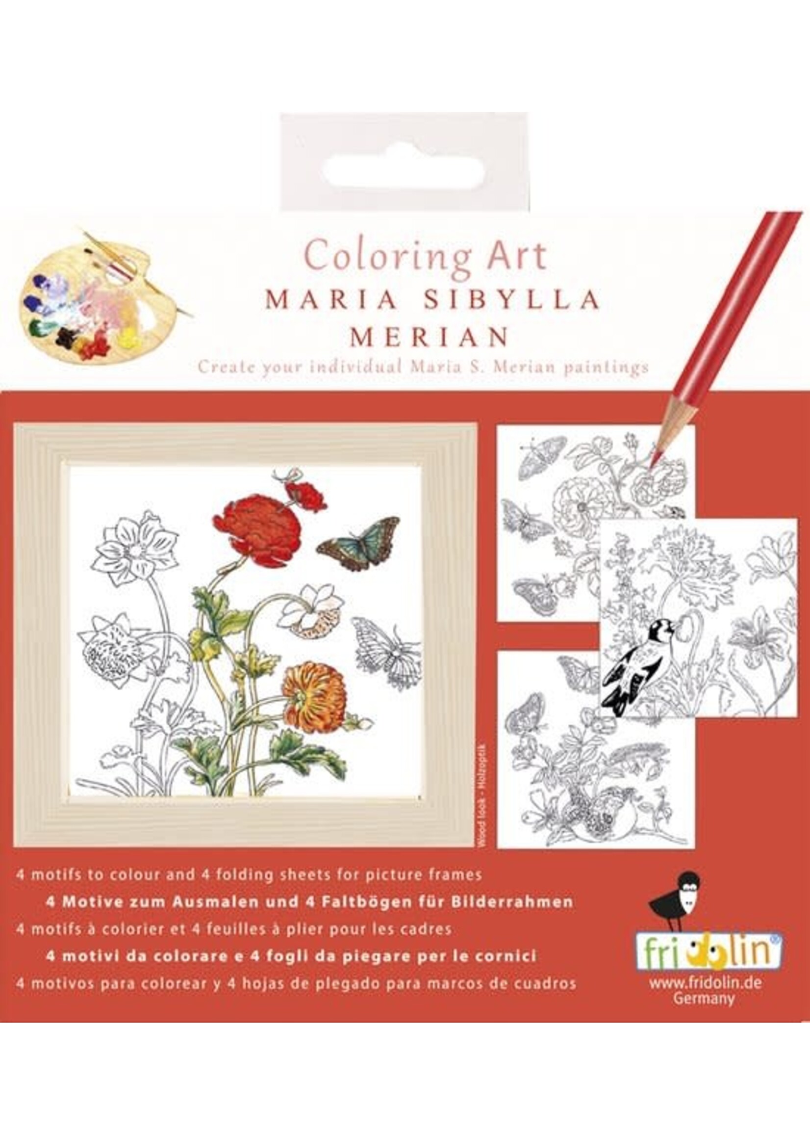 Fridolin Fridolin - Colouring Art - Maria Sibylla Merian