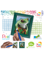 Pixel Pixel  - Geschenkset - Kikker
