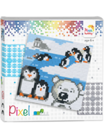 Pixel Pixelhobby set pooldieren