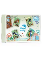 Pixel Pixel Medaillion Themabox - Vogels