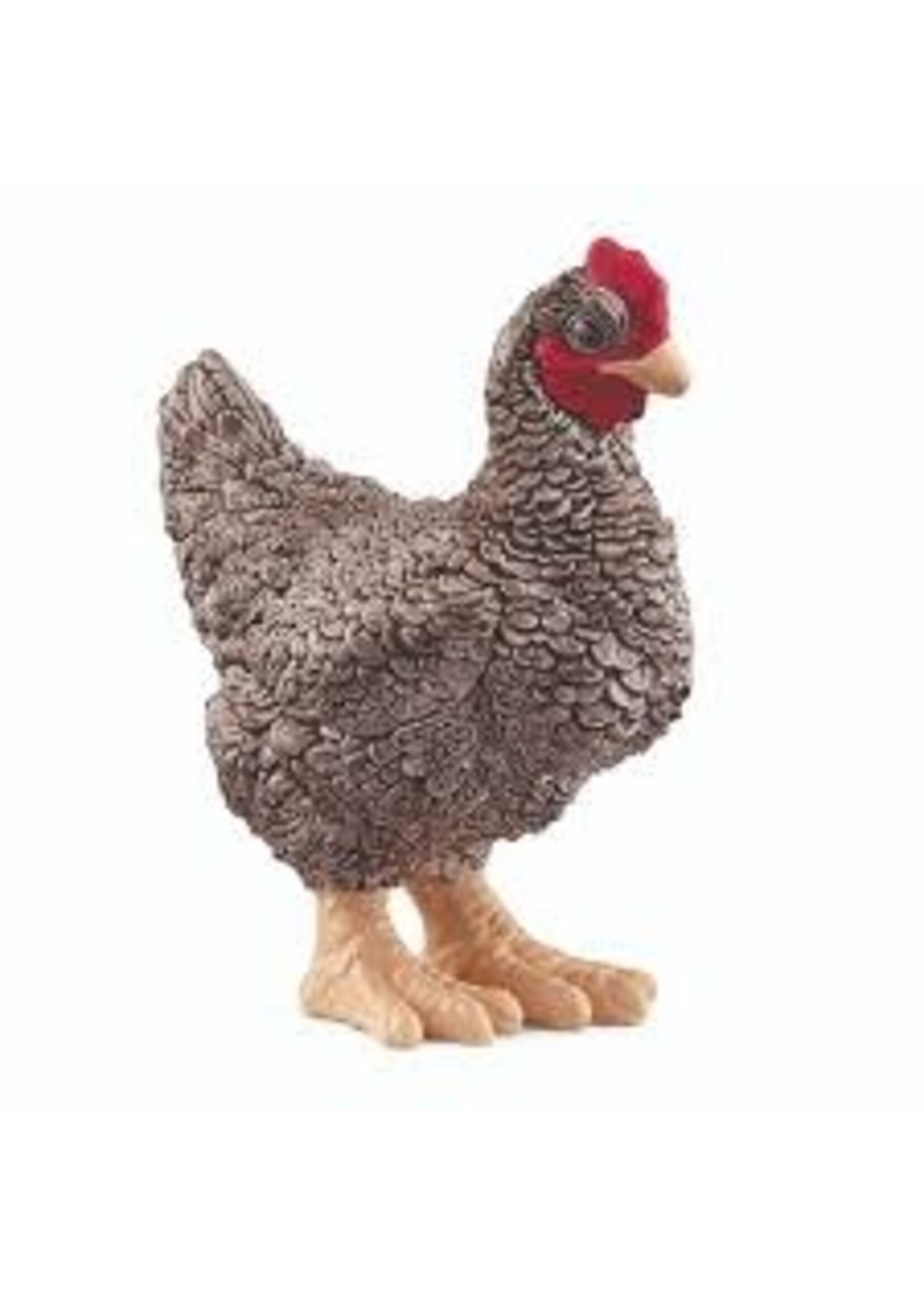 Schleich Schleich Plymouth Rock Chicken (13997)