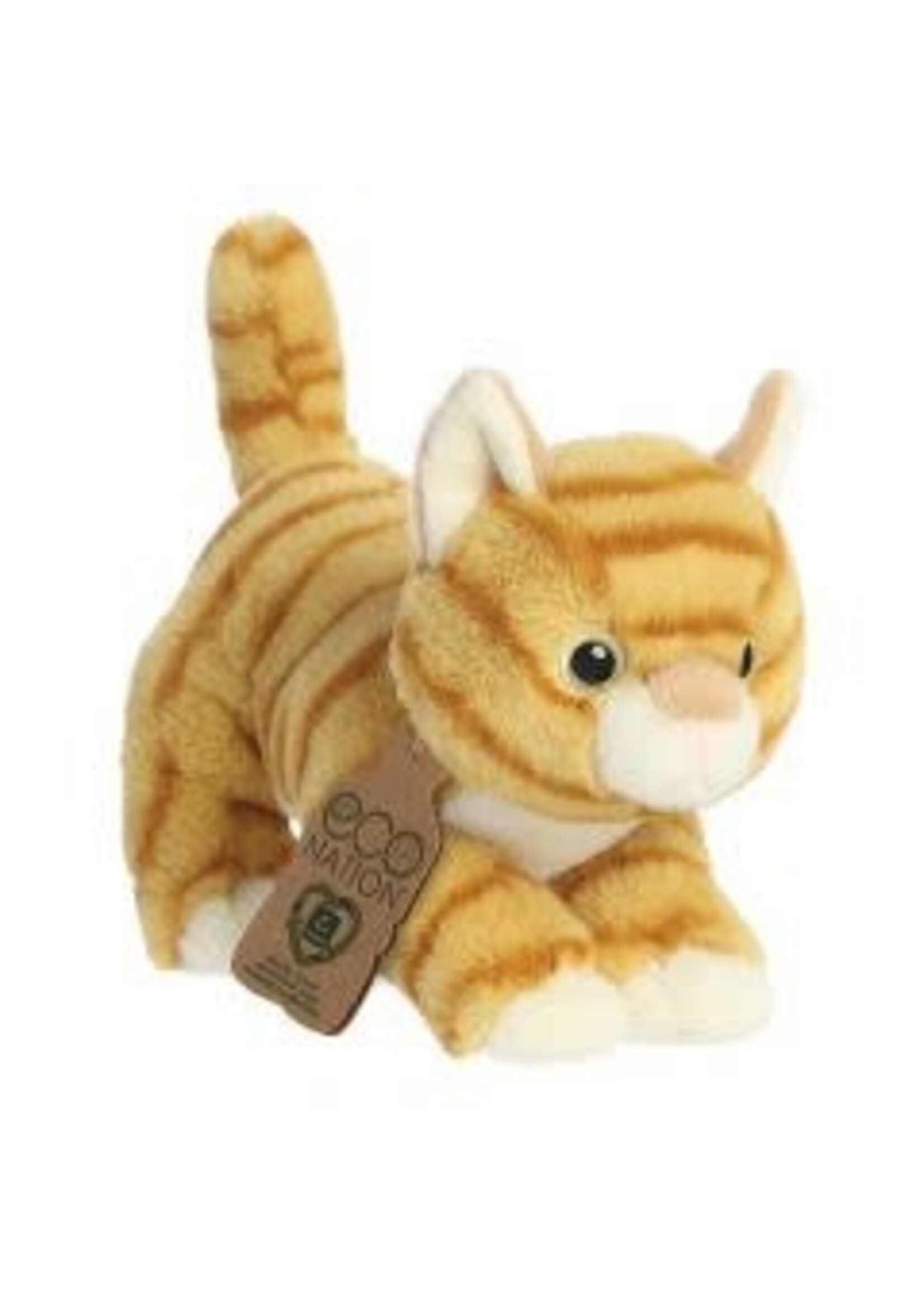 Aurora Eco Nation oranje kat 21 cm