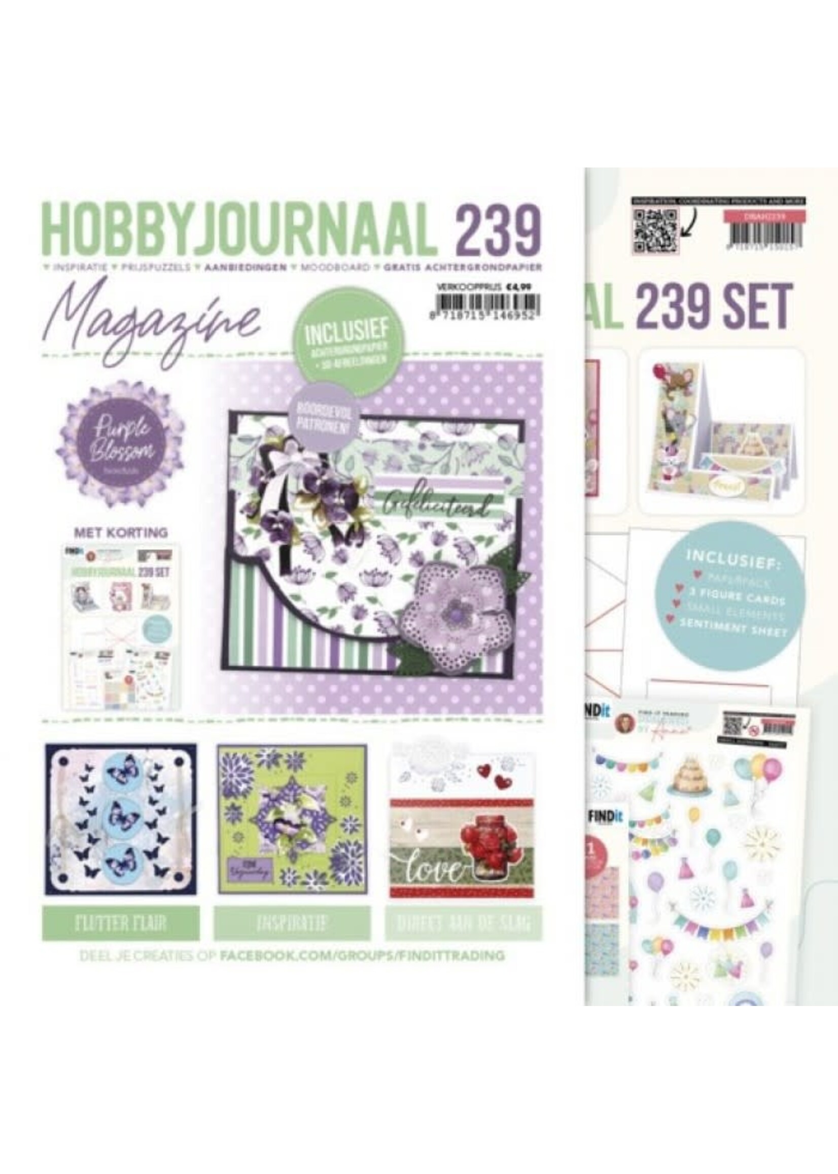 SET Hobbyjournaal 239 - Anna Party
