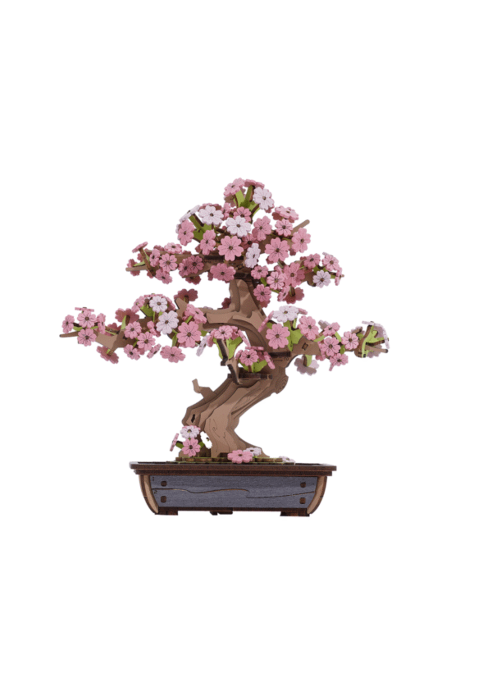 Rolife DIY 3D Houten Modelbouwpakket - Sakura Bonsai