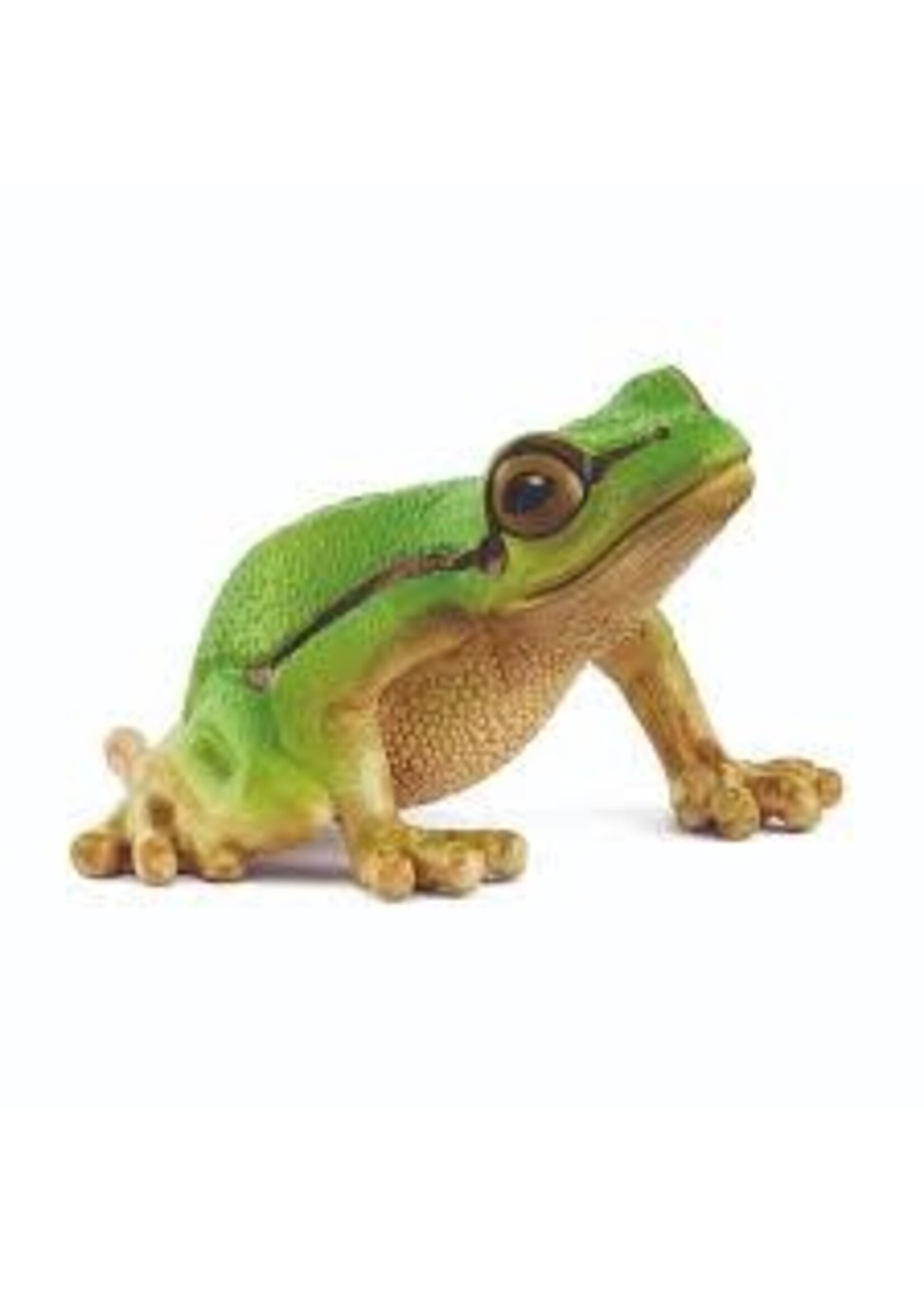 Schleich Schleich European Tree Frog (14882)
