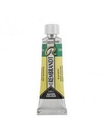 REMBRANDT Rembrandt Aquarelverf Tube 10 ml Blauwgroen 640