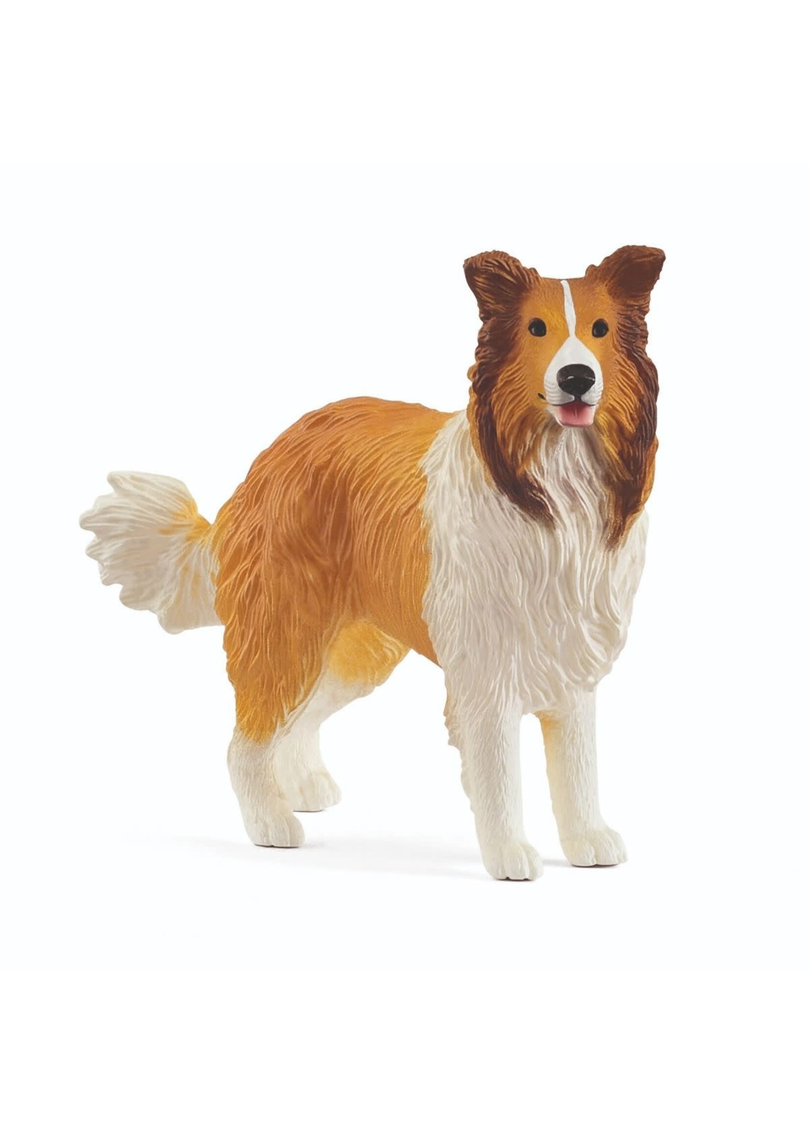 Schleich Schleich Collie (13998)