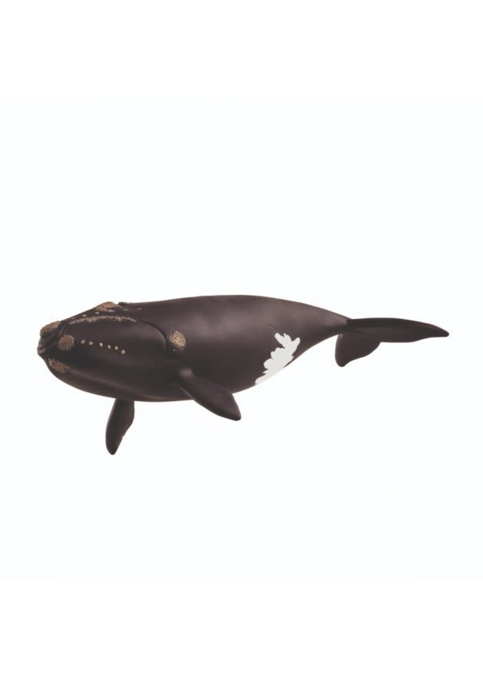 Schleich Schleich Noord atlantische Walvis (14878)