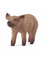 Schleich Schleich Mangalica Piglet (14893)