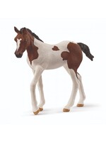 Schleich Schleich Paint Horse veulen (14899)