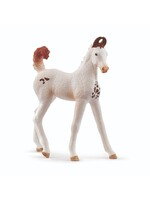 Schleich Schleich Marwari Foal (14896)