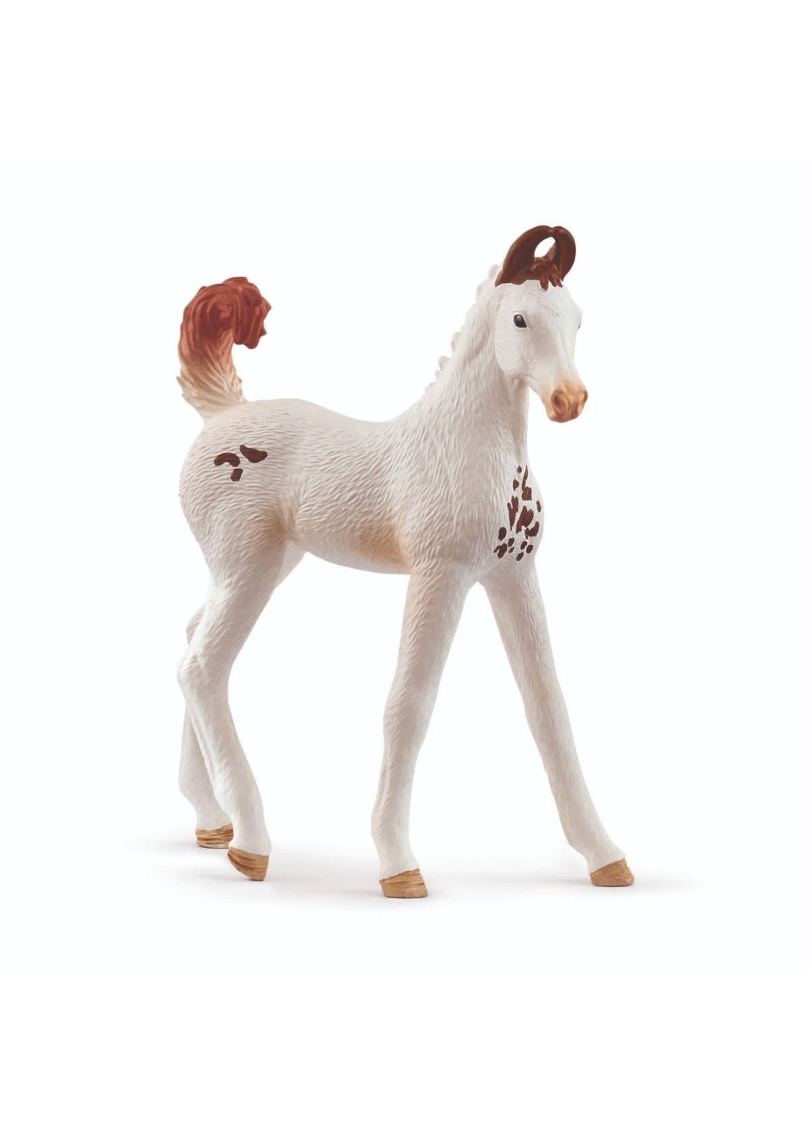 Schleich Schleich Marwari Foal (14896)