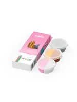 Hey Clay Hey Clay - Yorkshire terrier